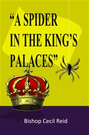 A Spider in the Kings Palace cover image