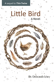 Little Bird: A Novel cover image