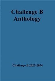 Challenge B Anthology cover image