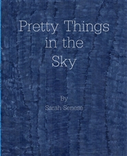 Pretty Things in the Sky cover image