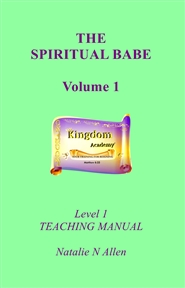 THE SPIRITUAL BABE cover image
