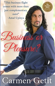 Business or Pleasure cover image