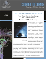 The Care and Feeding of The Brain cover image