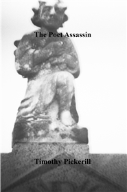 The Poet Assassin cover image