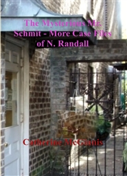 The Mysterious Mr. Schmit - More Case Files of N. Randall cover image