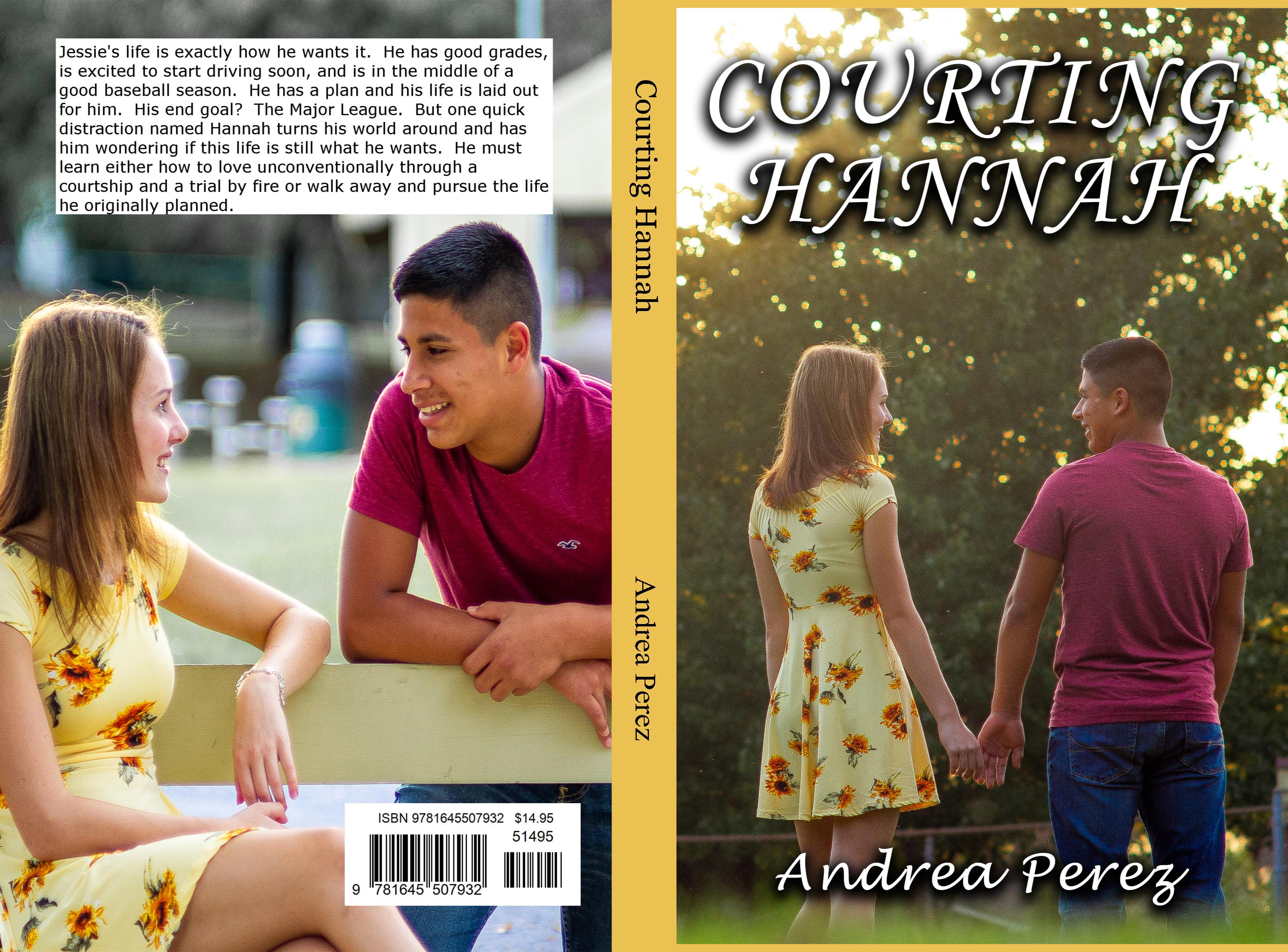 Courting Hannah cover image