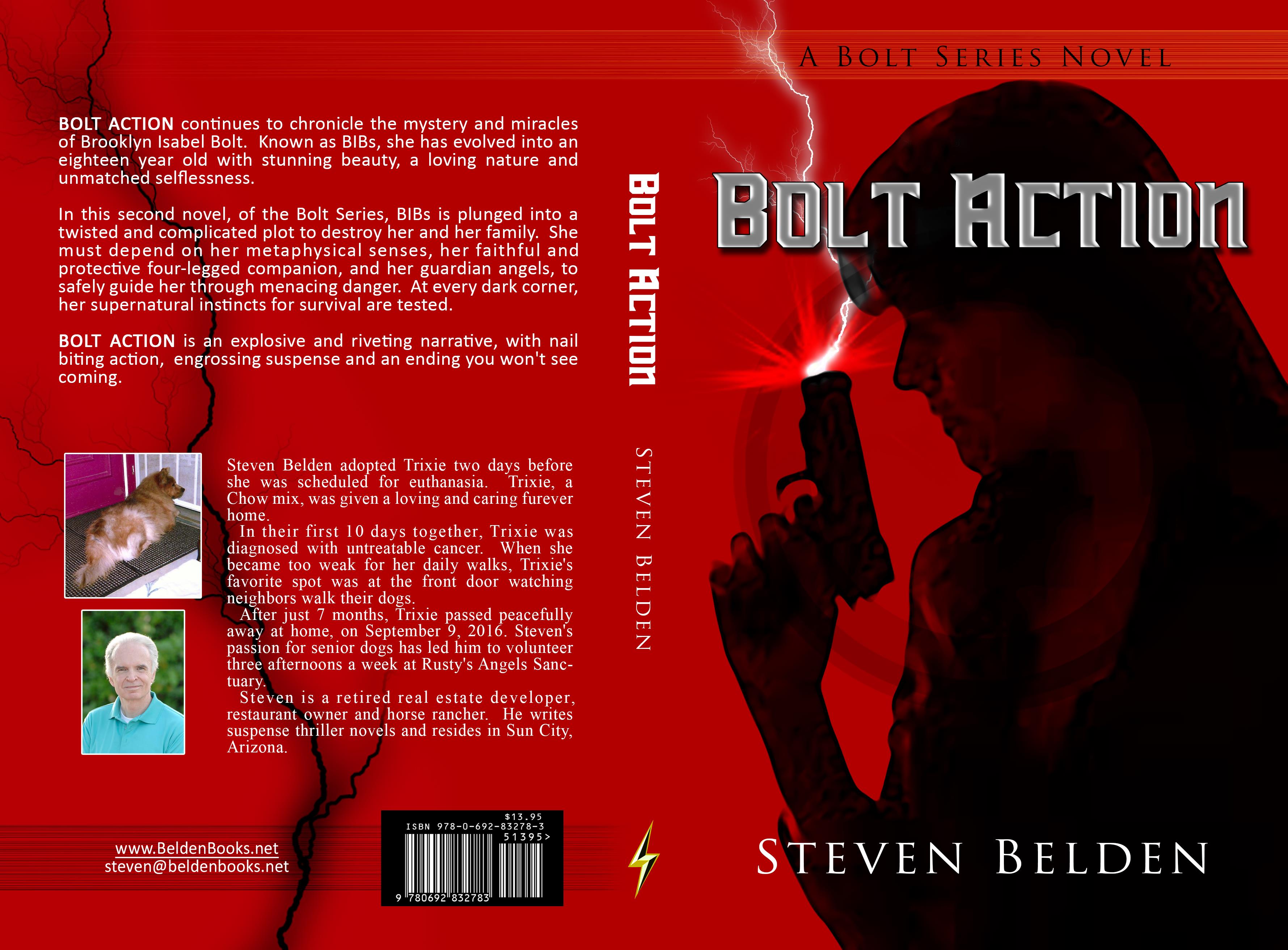 BOLT ACTION: A Bolt Series Novel #2 cover image