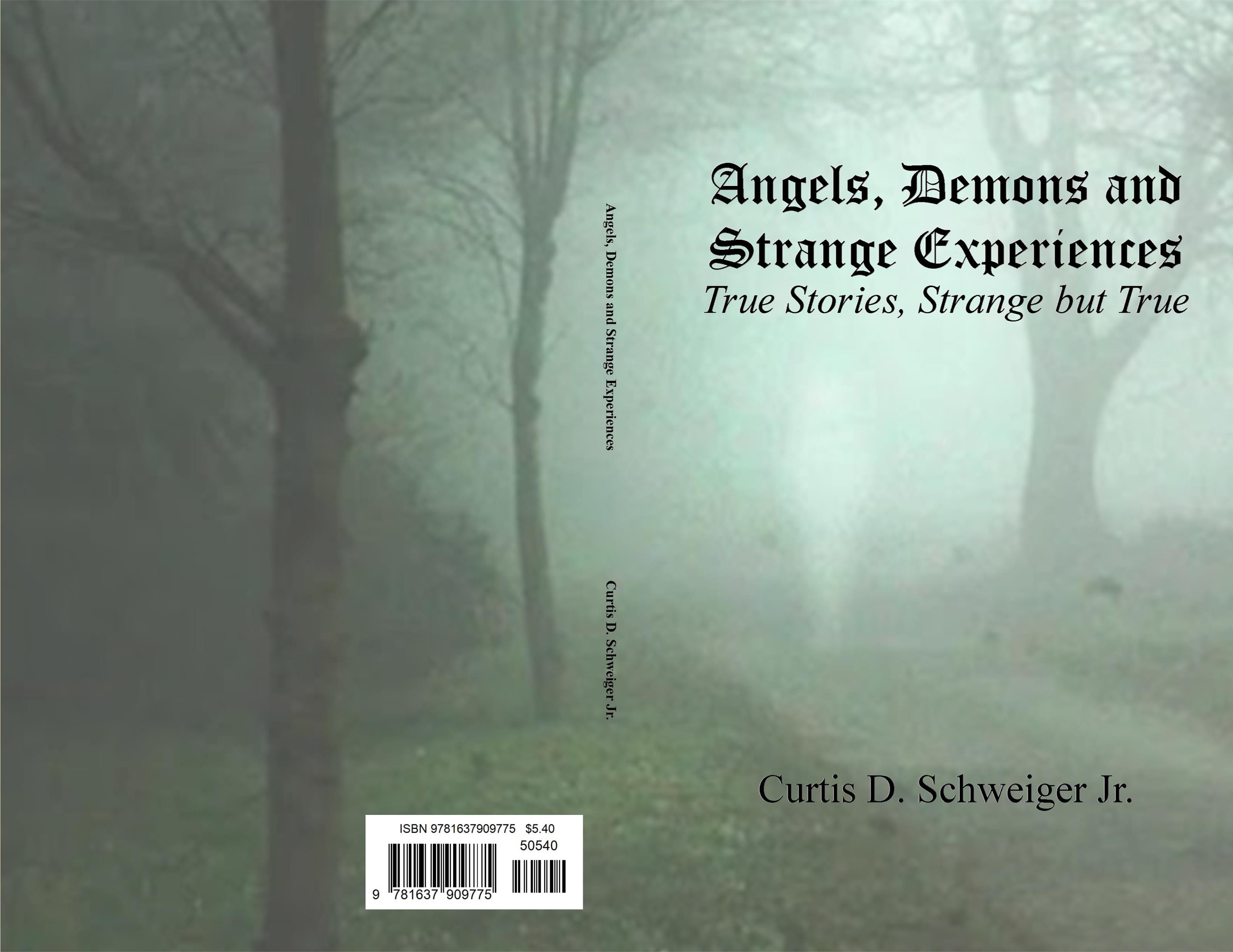 "Angels,Demons,and Strange Experiences" cover image