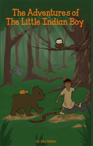 The Adventures of The Little Indian Boy cover image