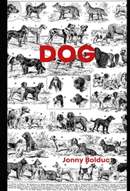 DOG cover image