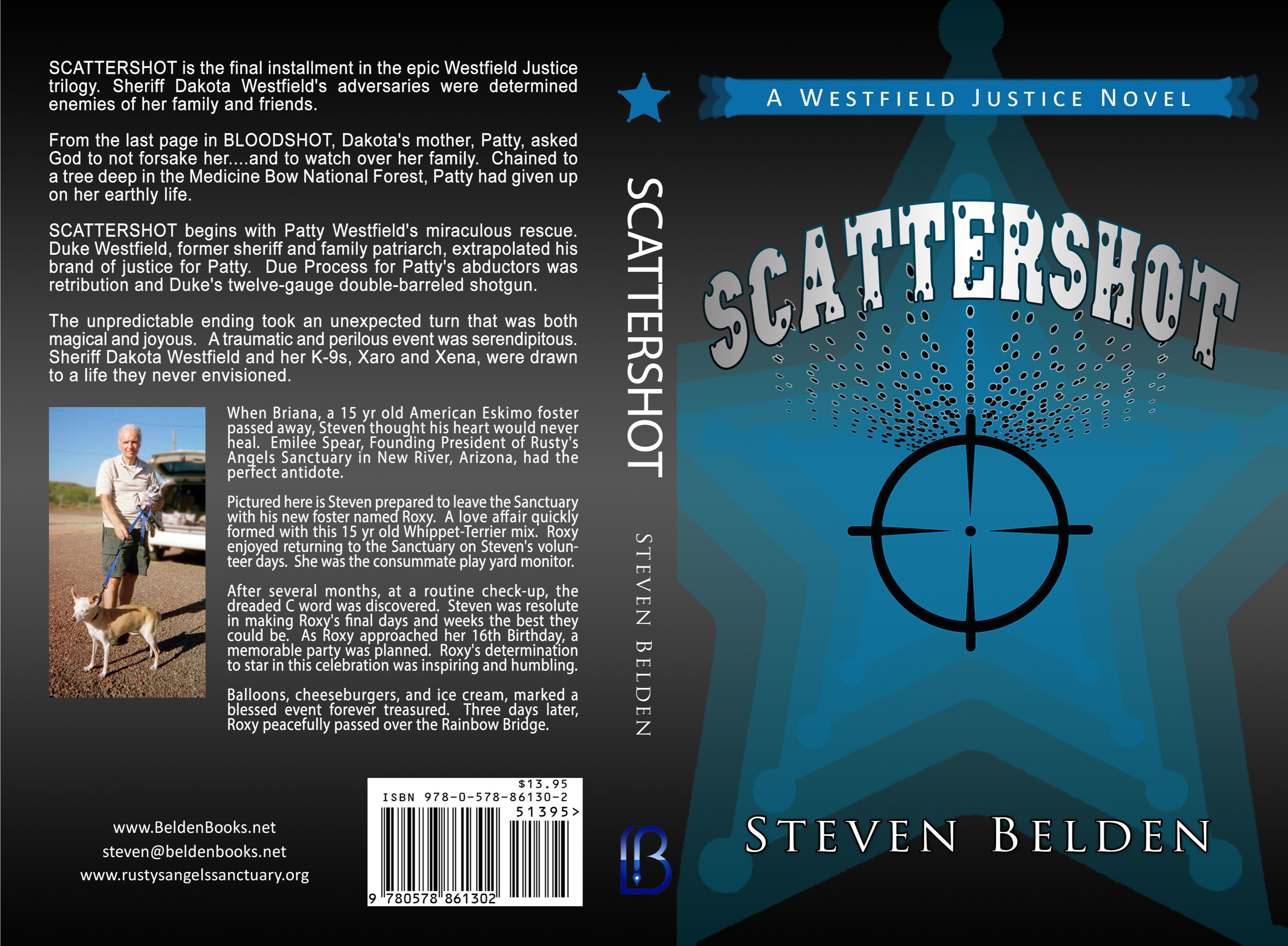 SCATTERSHOT:  A Westfield Justice Novel #3 cover image