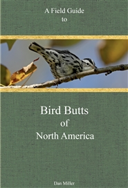 Field Guide to Bird Butts of North America cover image