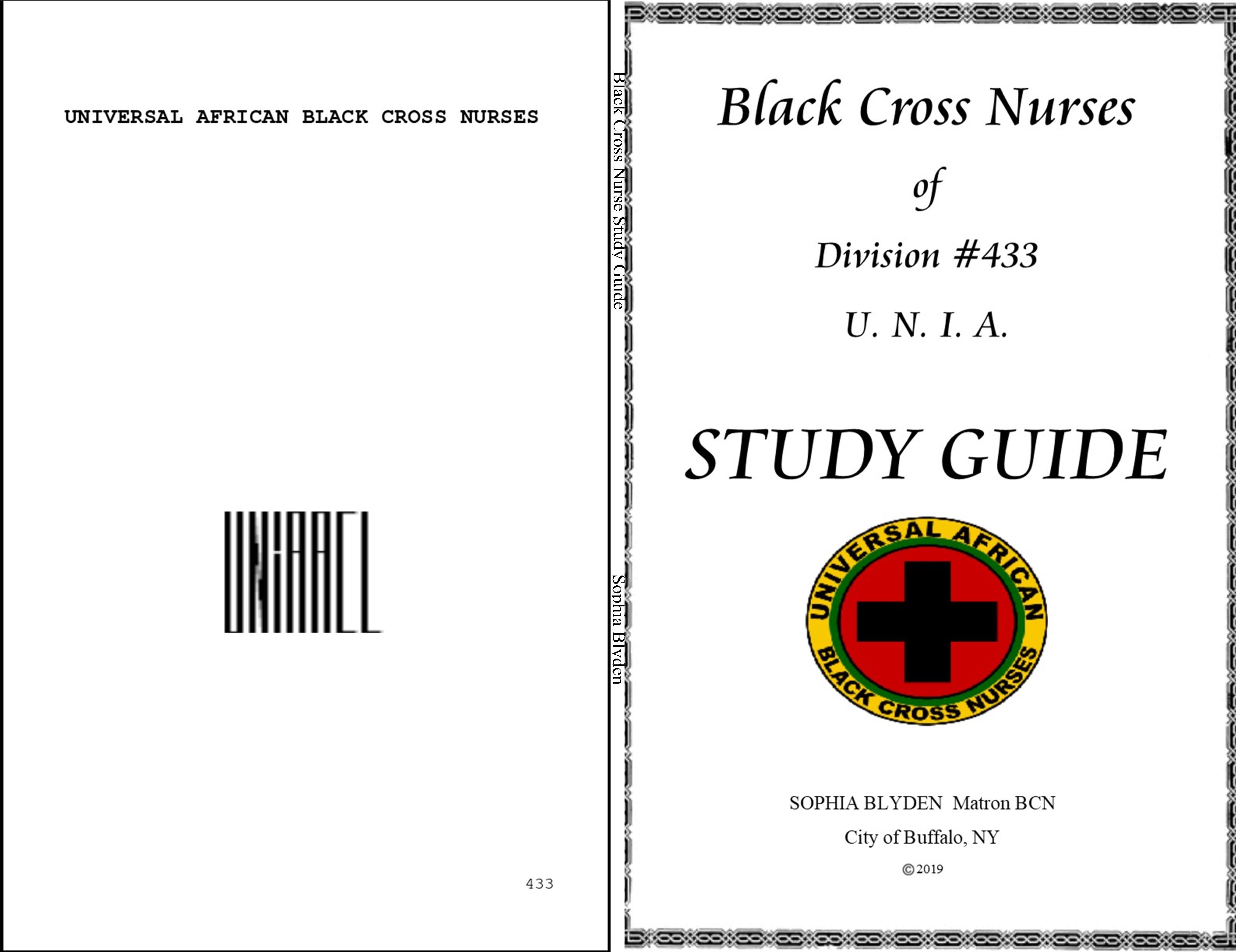 Black Cross Nurse Study Guide cover image
