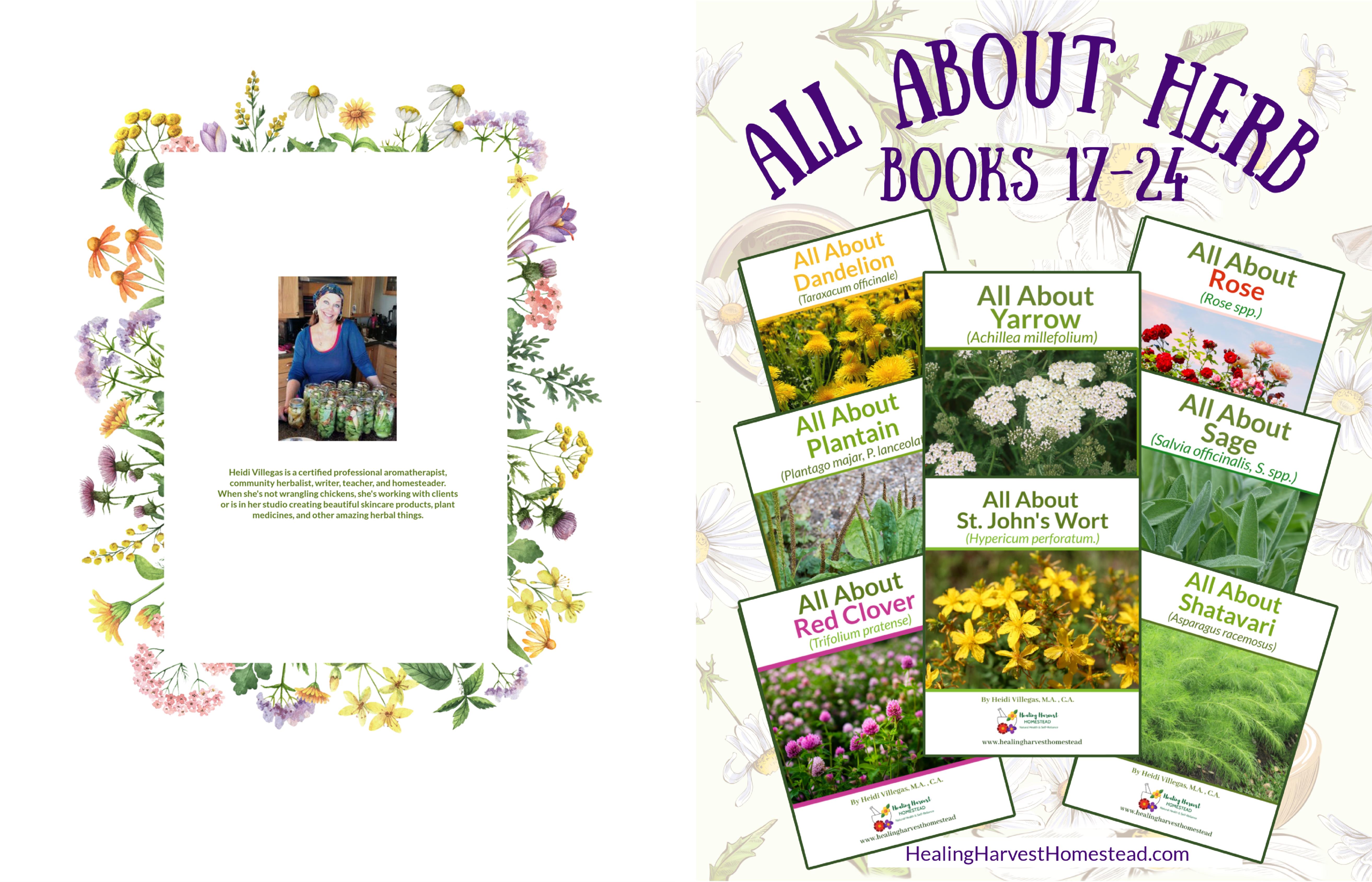  All About Herbs Books 17 - 24 cover image
