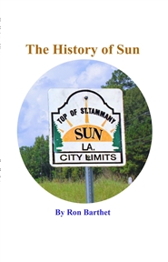 The History of Sun cover image