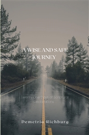 A Wise and Safe Journey cover image