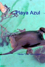 Playa Azul cover image