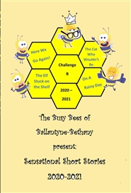 The Busy Bees of Ballantyne-Bethany present:  Sensational Short Stories cover image