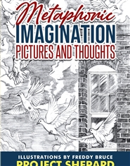METAPHORIC IMAGINATION PICTURES AND THOUGHTS cover image