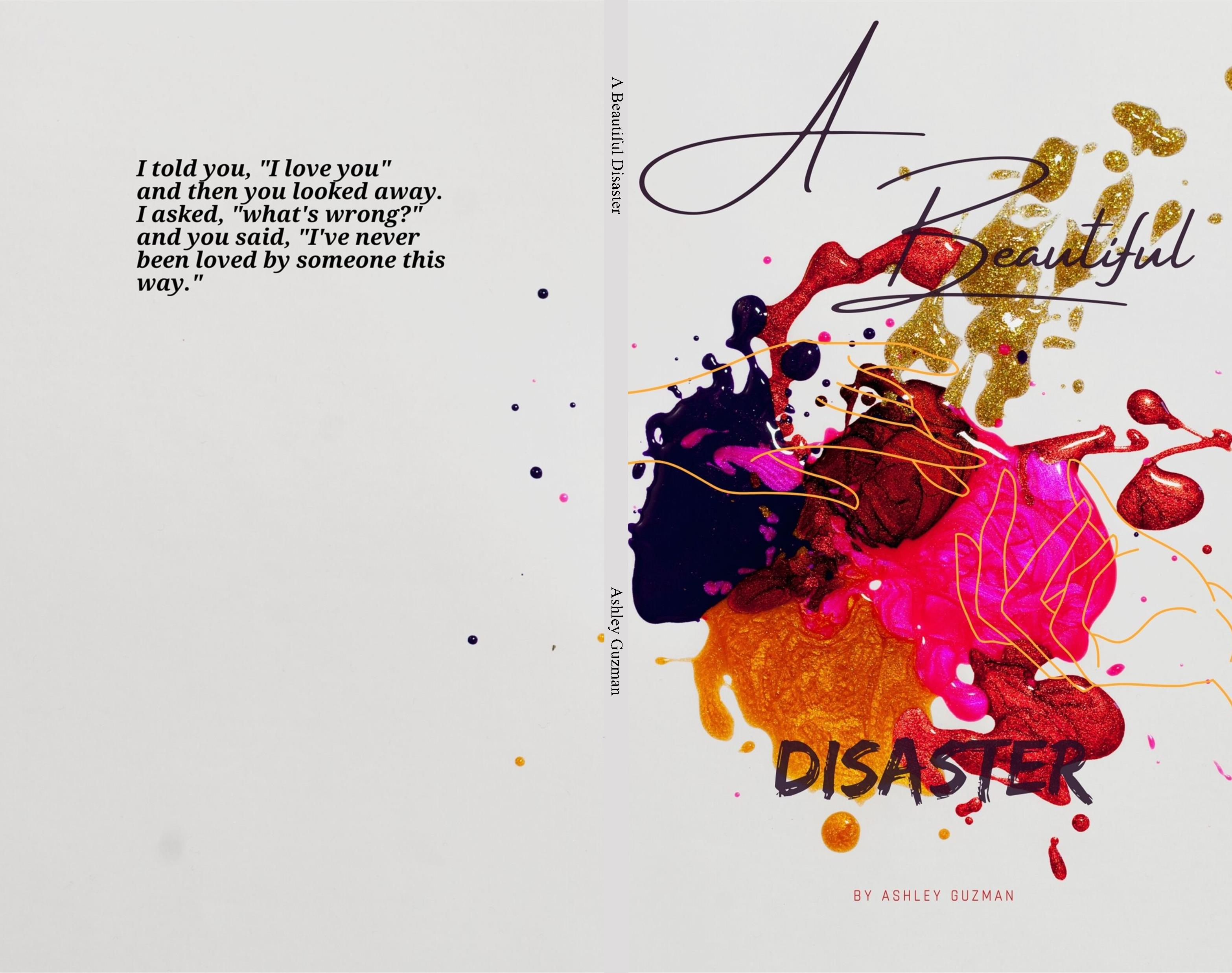 A Beautiful Disaster  cover image