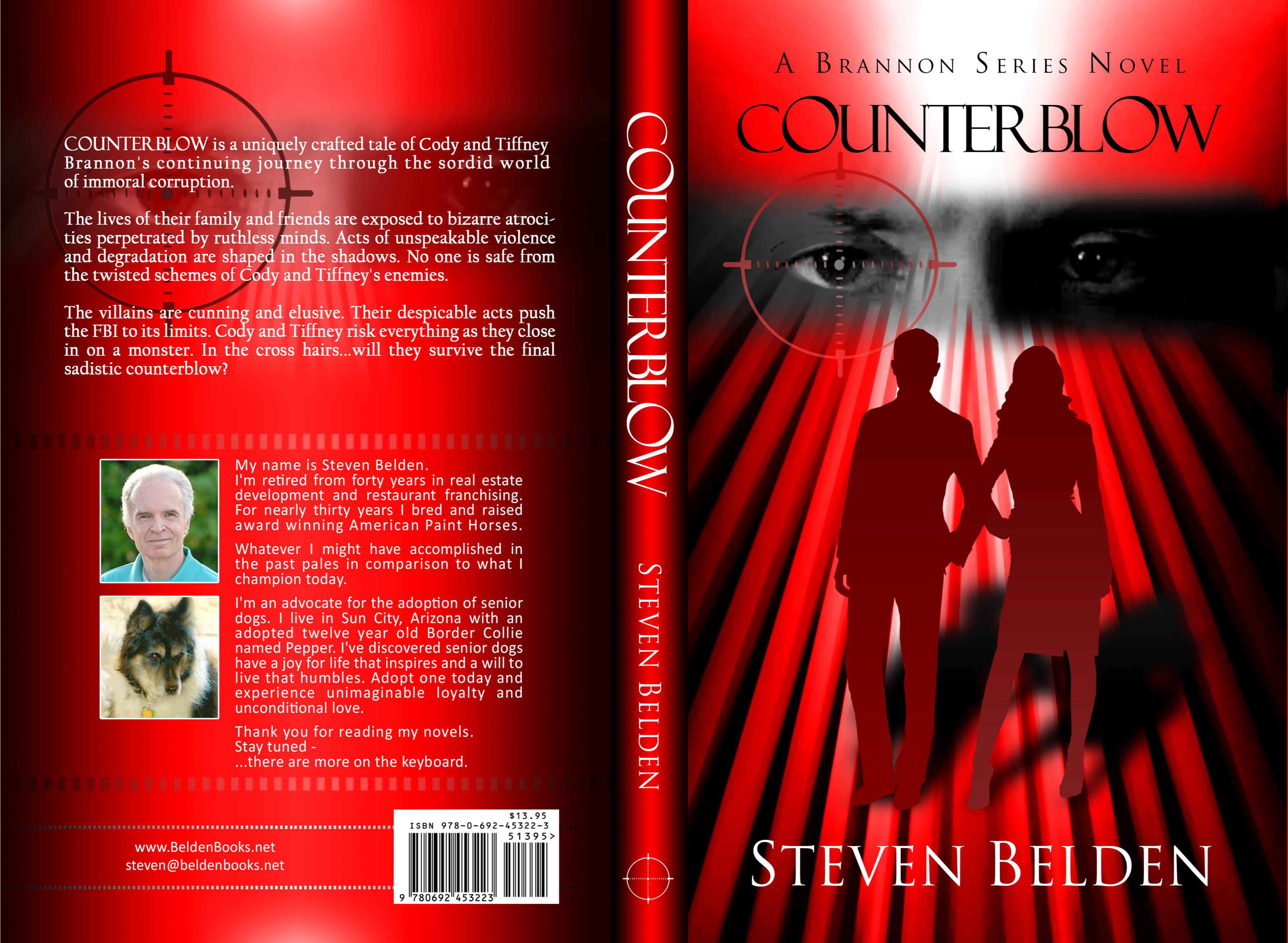 COUNTERBLOW:  A Brannon Series Novel #2 cover image
