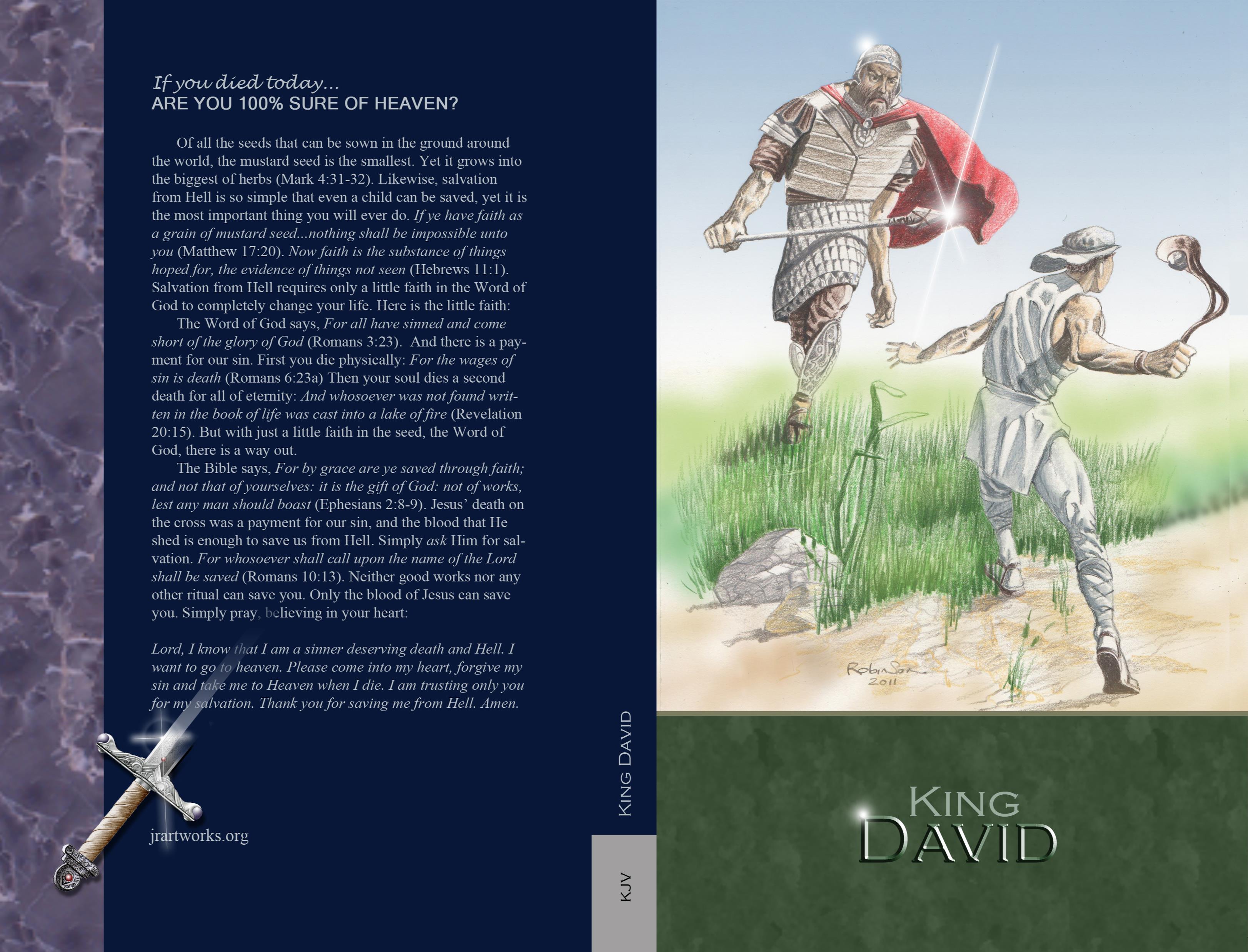 King David - KJV cover image