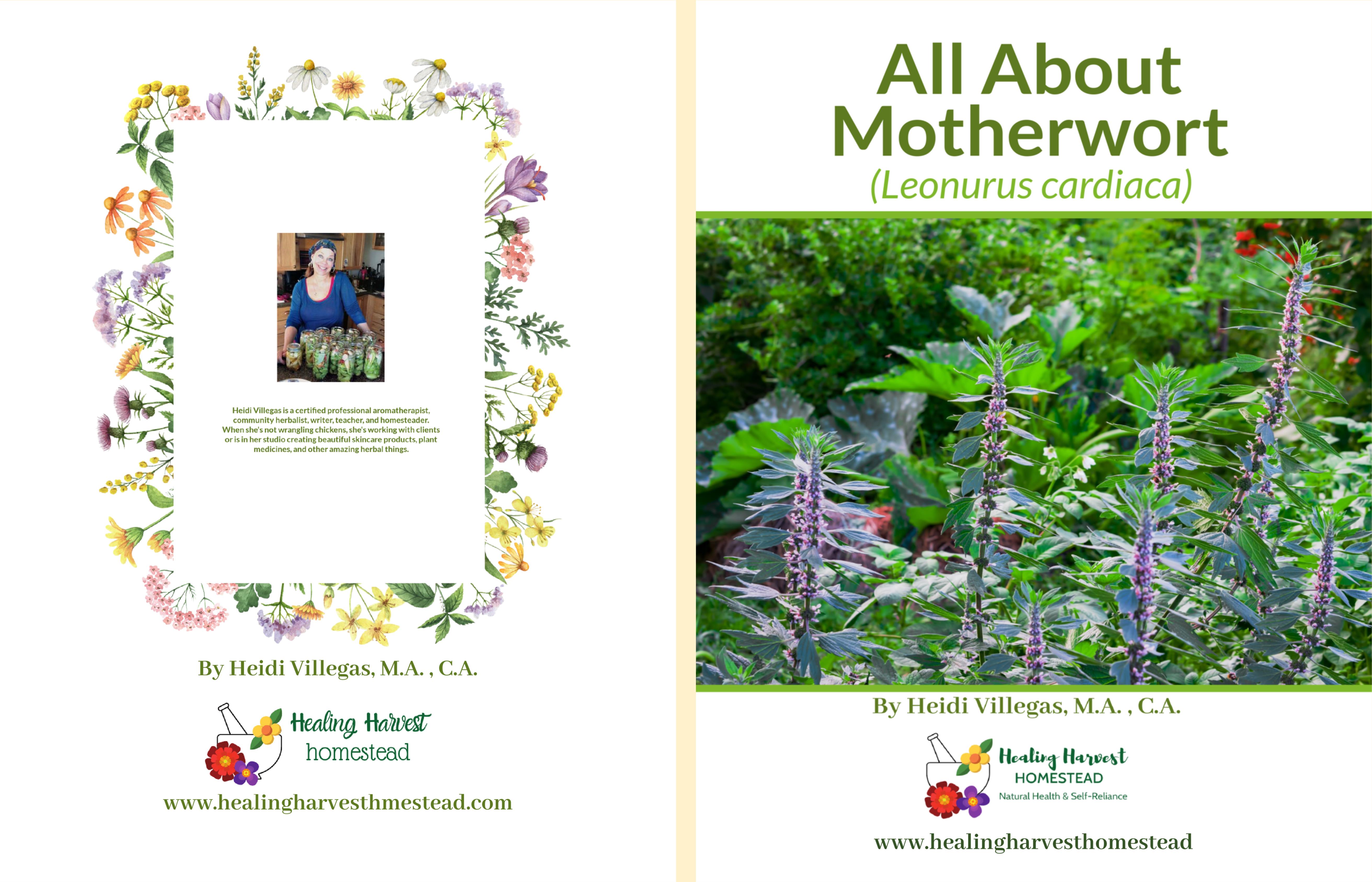 All About Motherwort cover image