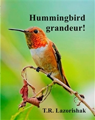 Hummingbird grandeur! cover image