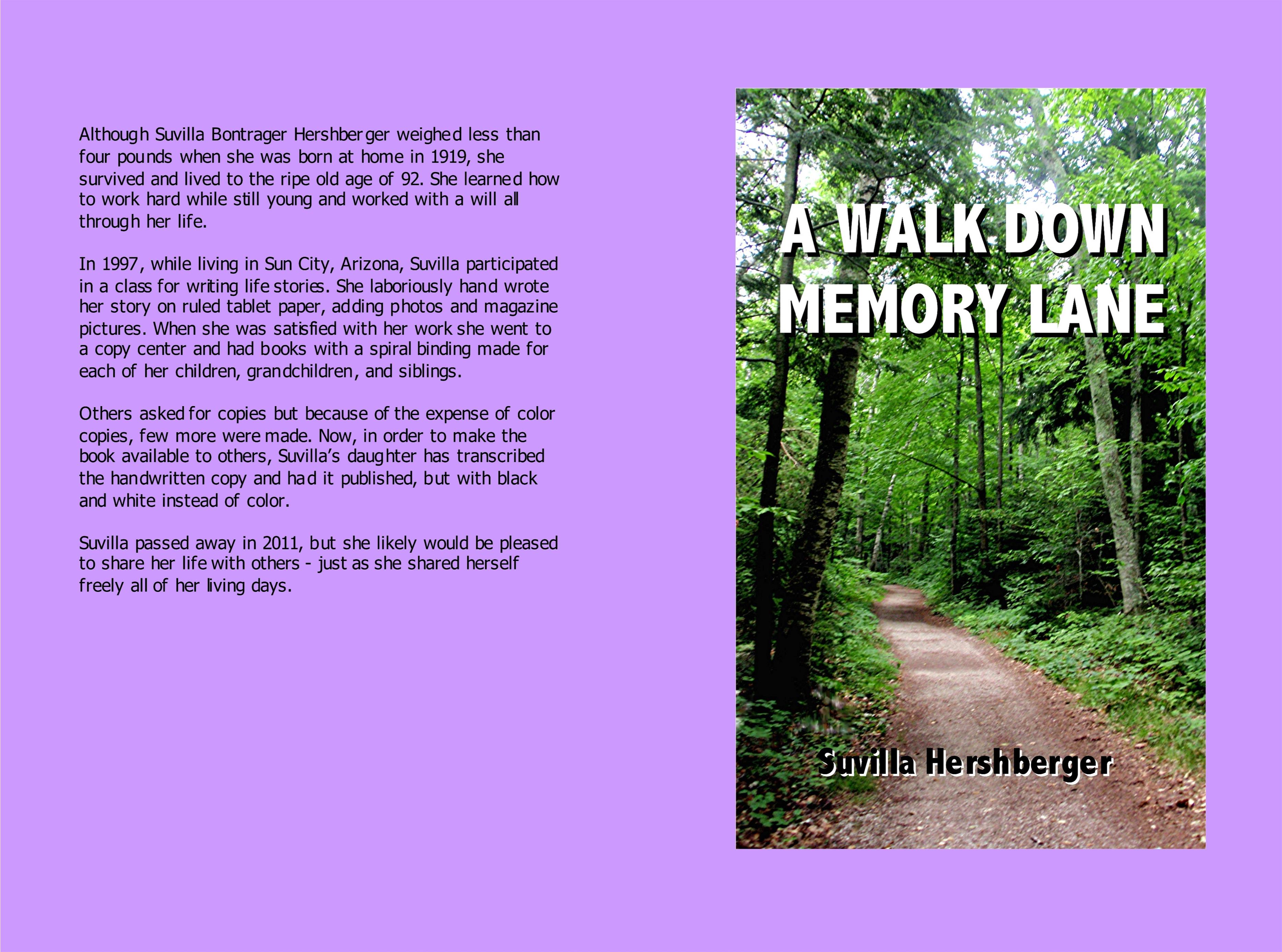 A Walk Down Memory Lane cover image