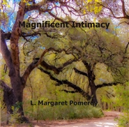 Magnificent Intimacy cover image