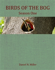 Birds of the Bog Season One cover image