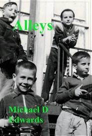 Book 2 MP Alleys cover image