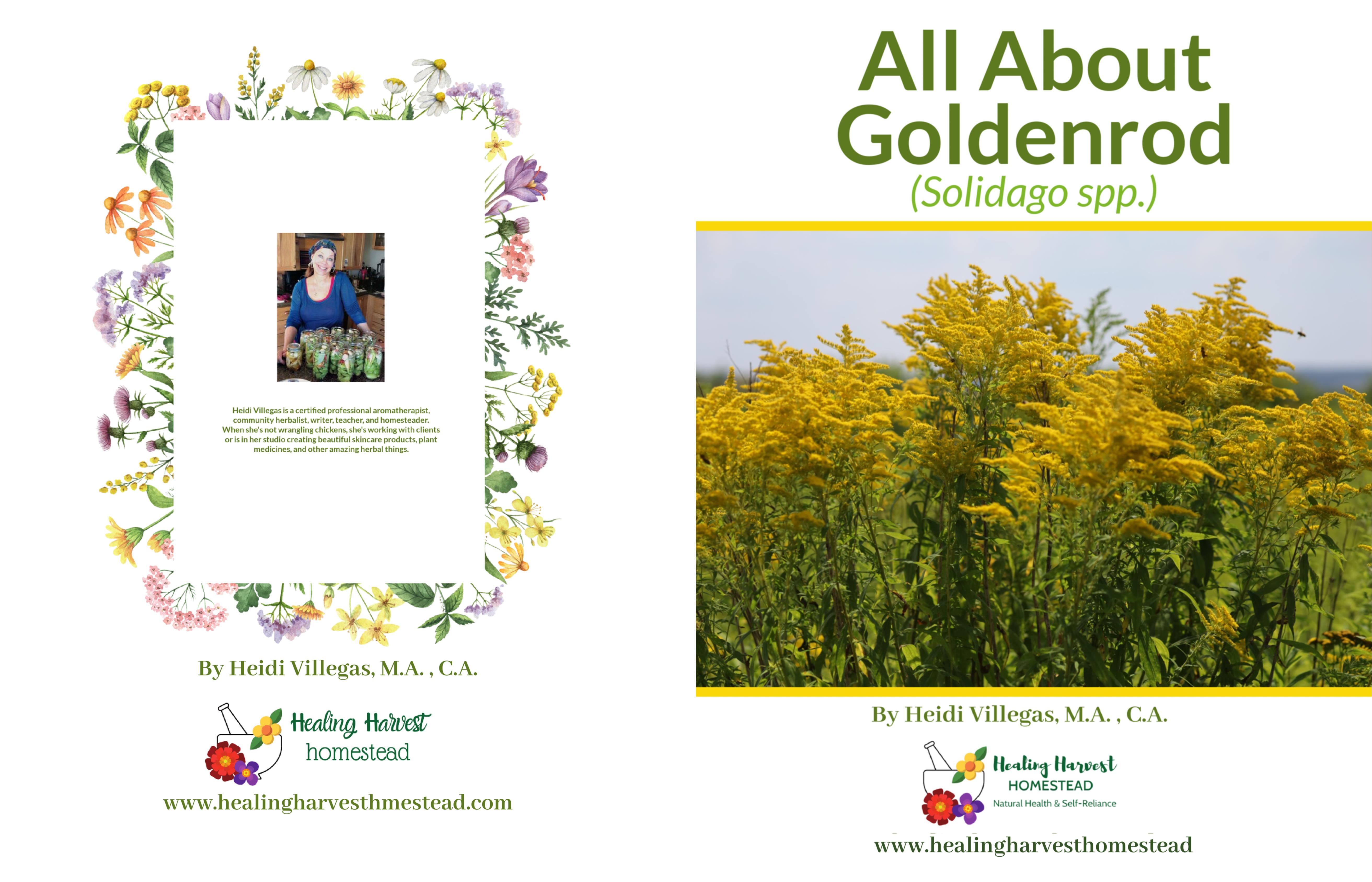All About Goldenrod cover image
