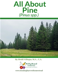 All About Pine cover image
