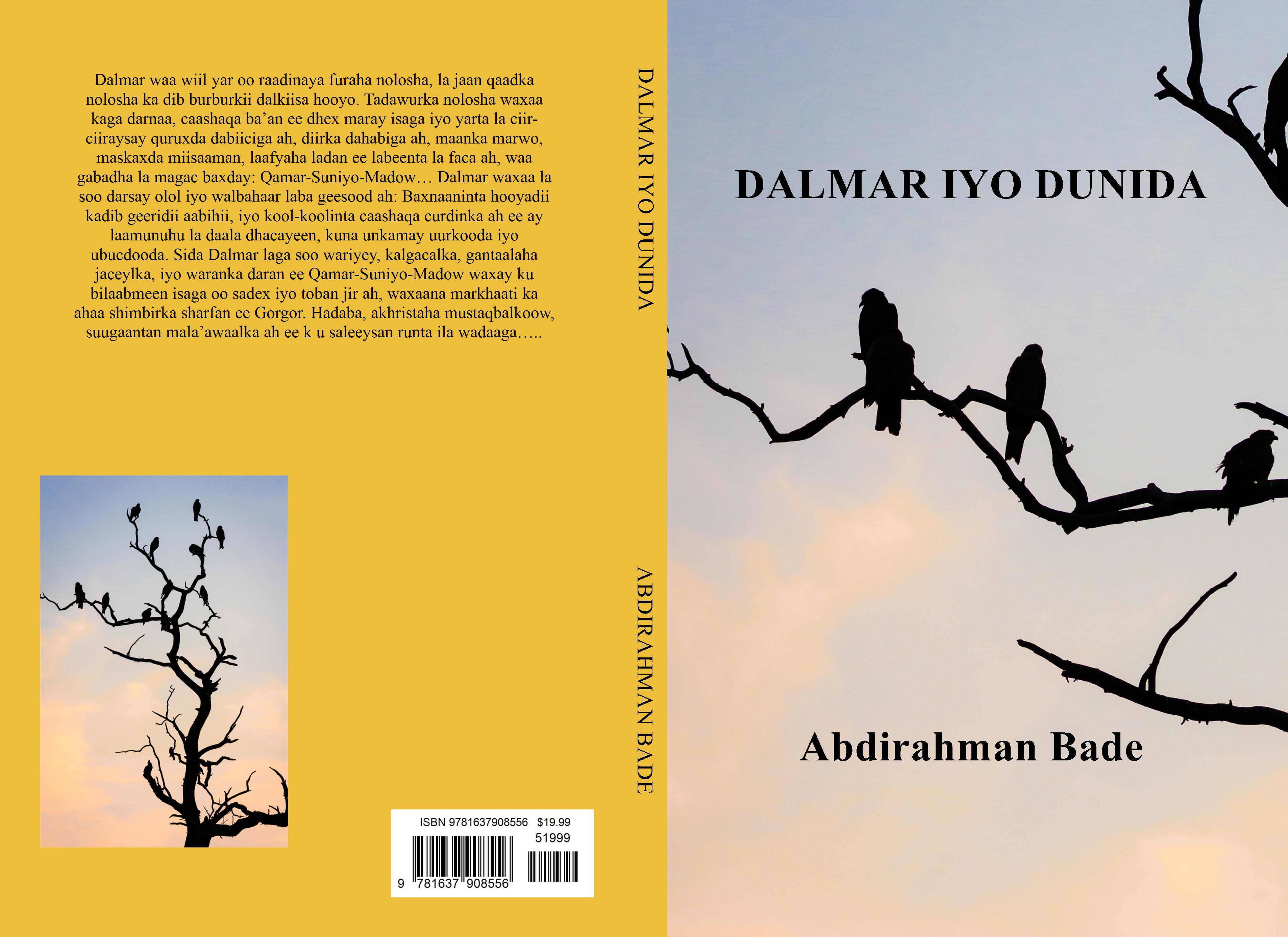 DALMAR IYO DUNIDA cover image