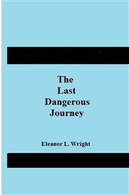 Dangerous Journey cover image
