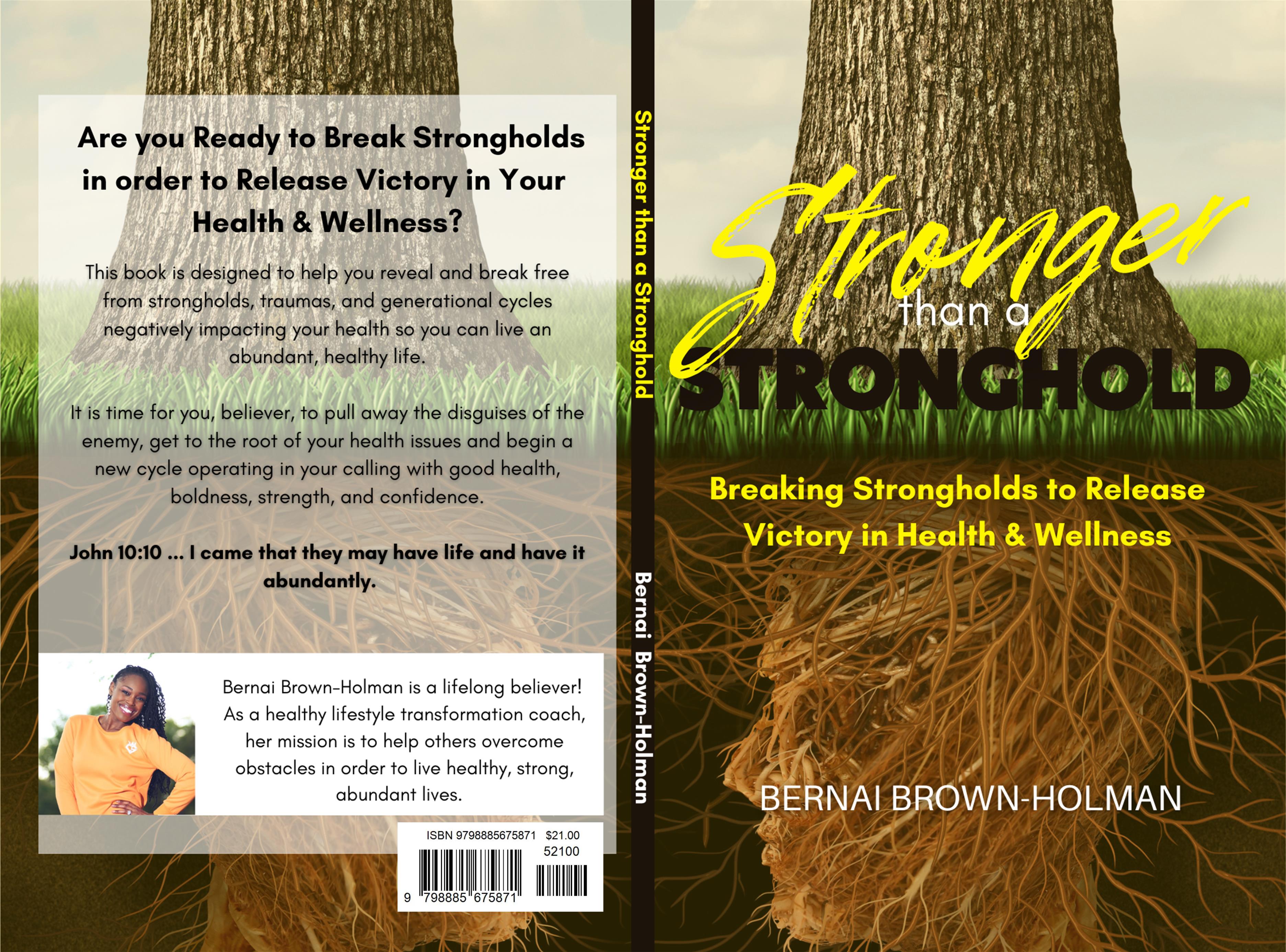 Stronger than a Stronghold cover image