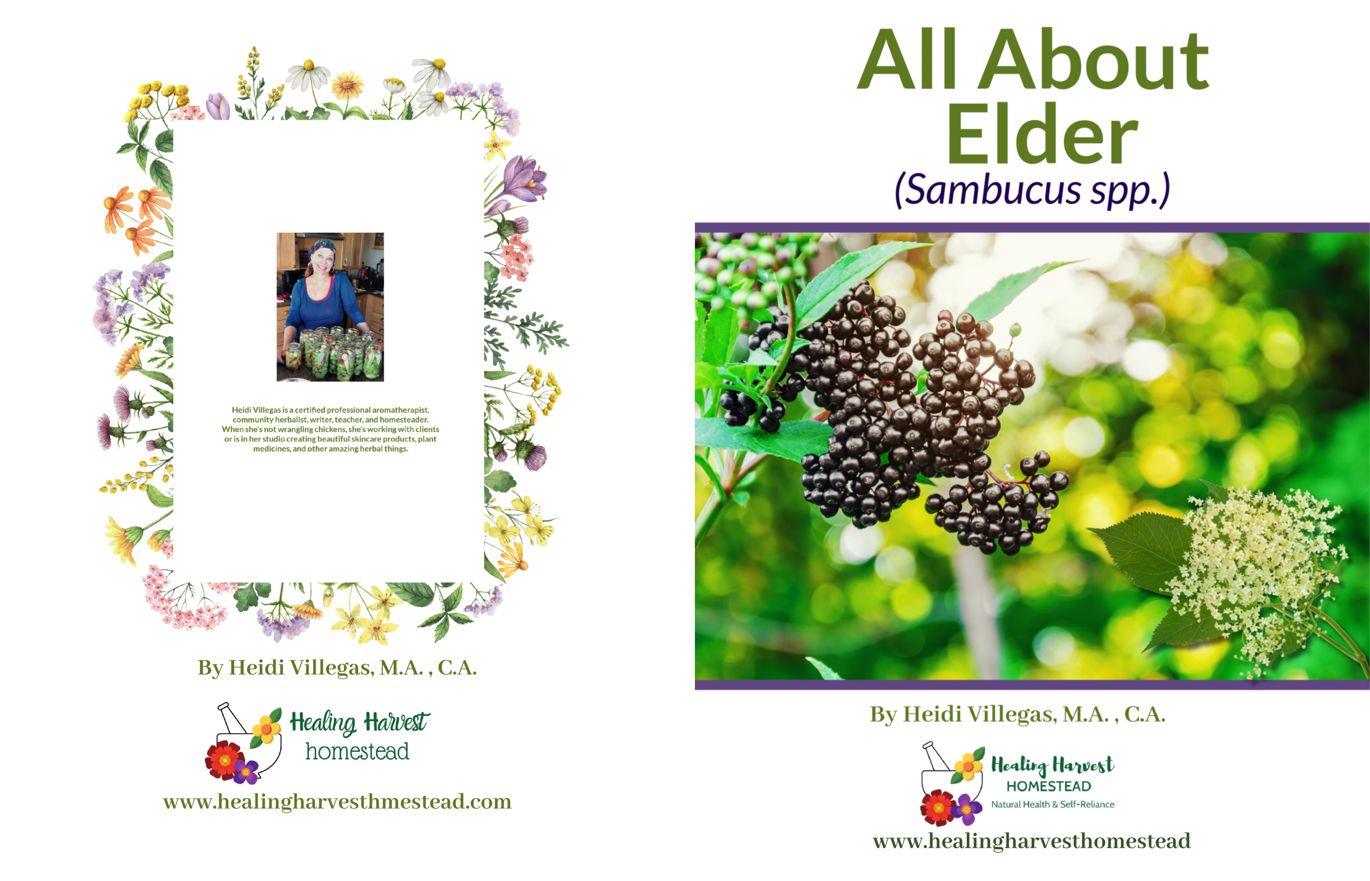 All About Elder cover image
