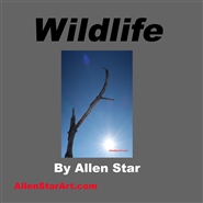 Wildlife cover image