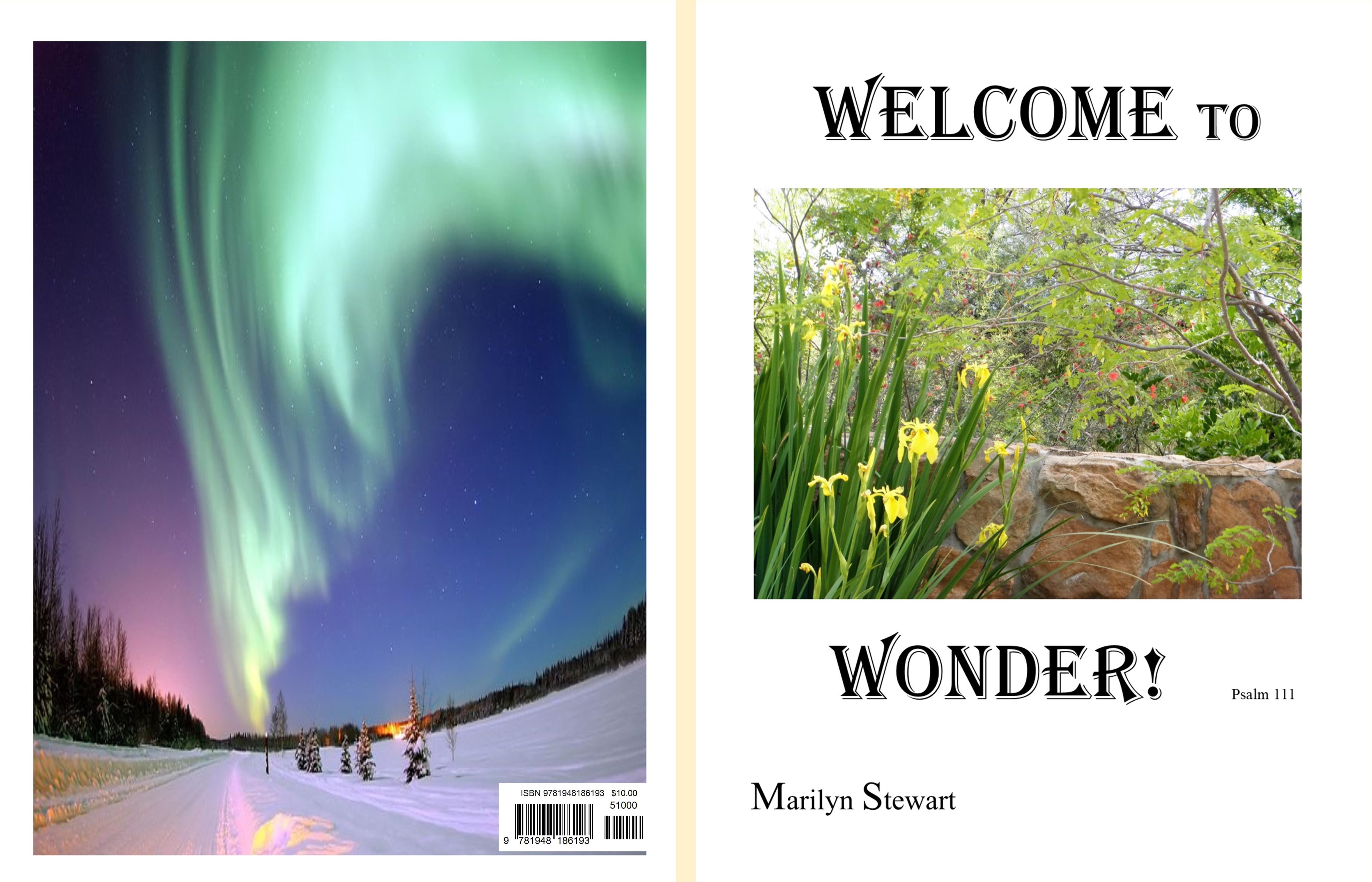 Welcome to Wonder cover image