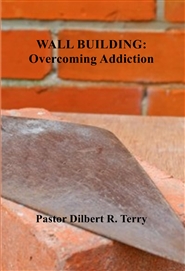 WALL BUILDING: Overcoming Addiction cover image