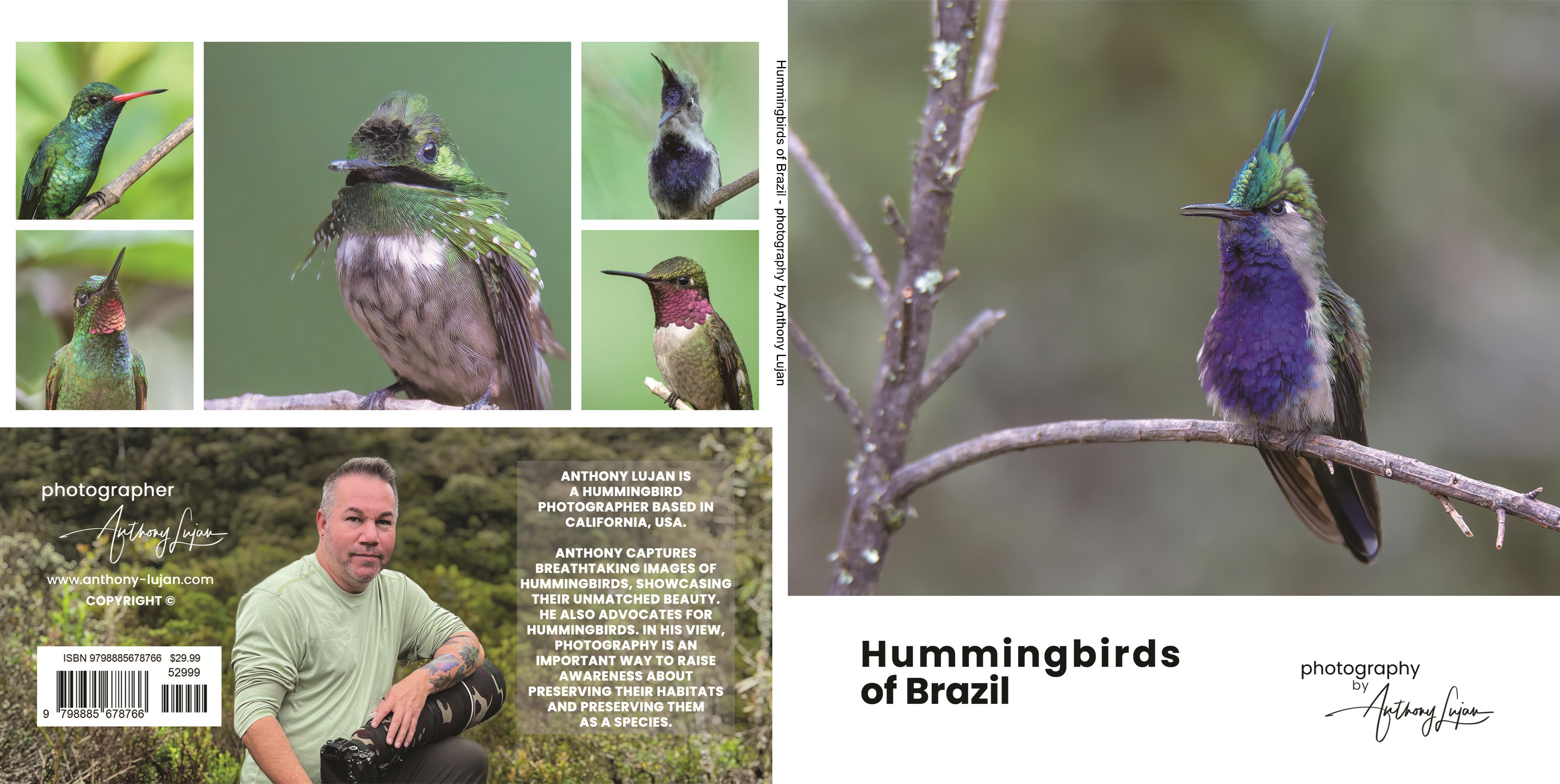 Hummingbirds of Brazil cover image