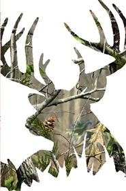 Braxton The Buck 2 cover image