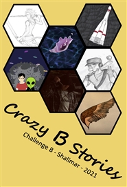 Crazy B Stories cover image