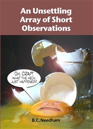 An Unsettling Array of Short Observations cover image
