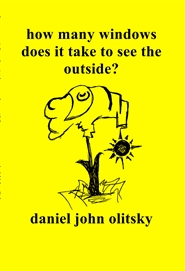 how many windows does it take to see the outside? cover image