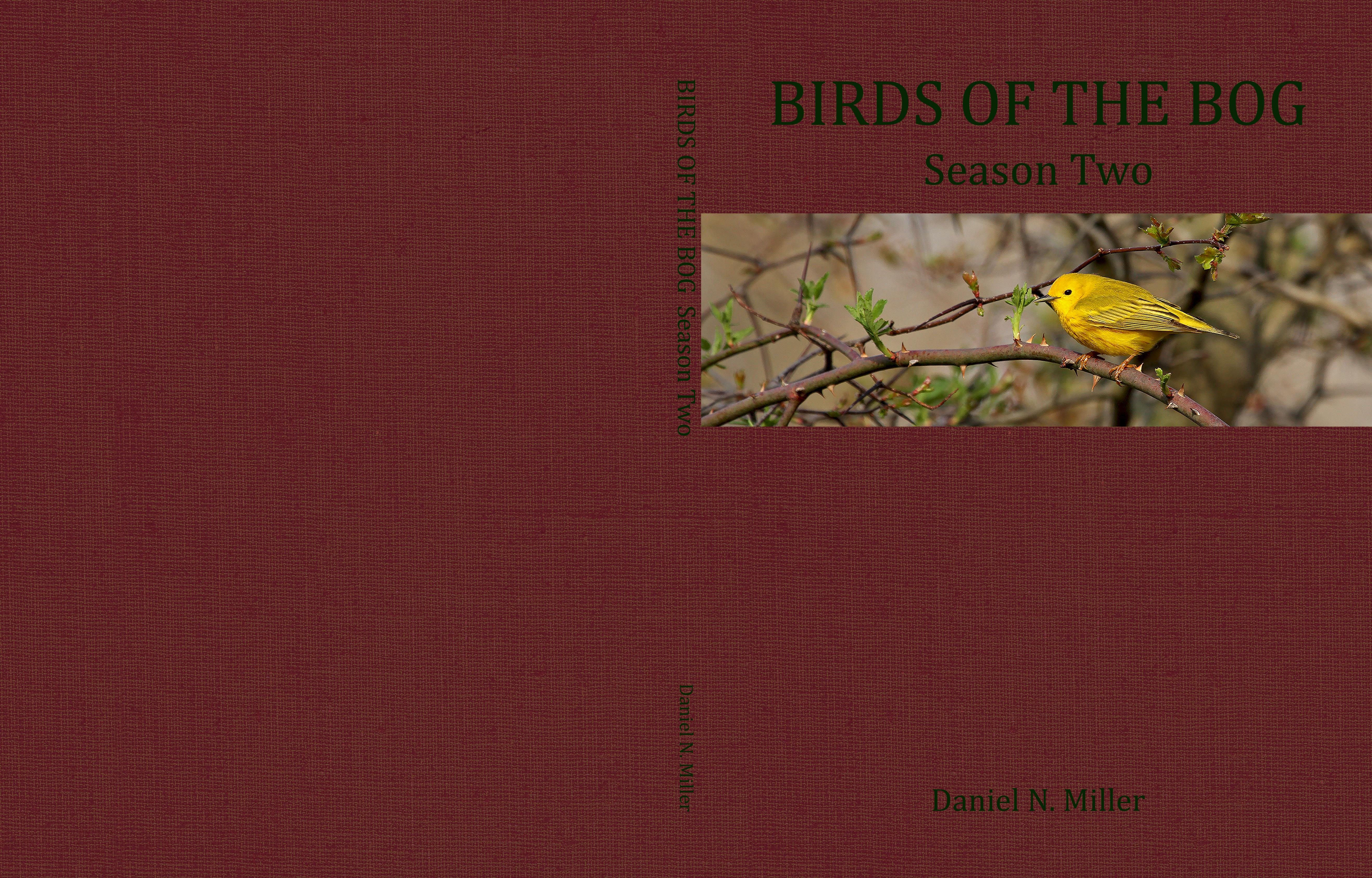 Birds of the Bog Season Two cover image