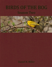 Birds of the Bog Season Two cover image