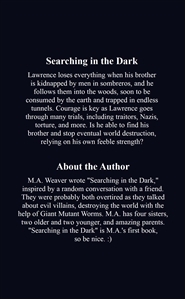 Searching in the Dark cover image
