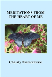 MEDITATIONS FROM THE HEART OF ME cover image